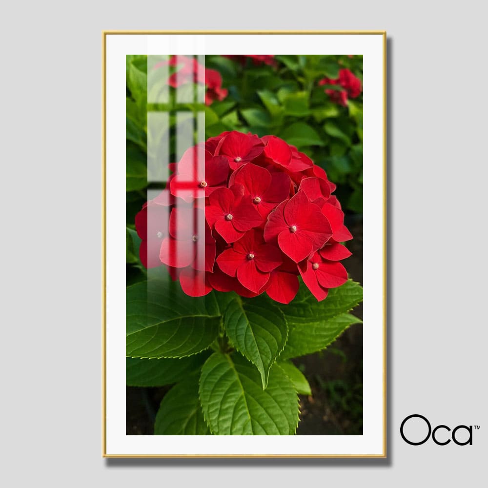 Đóa hoa Cẩm Tú | Mã T0502 | Oca