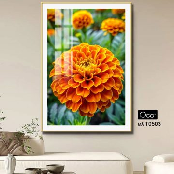 Alternative view of Khóm hoa Đồng Tiền | Mã T0503 | Oca