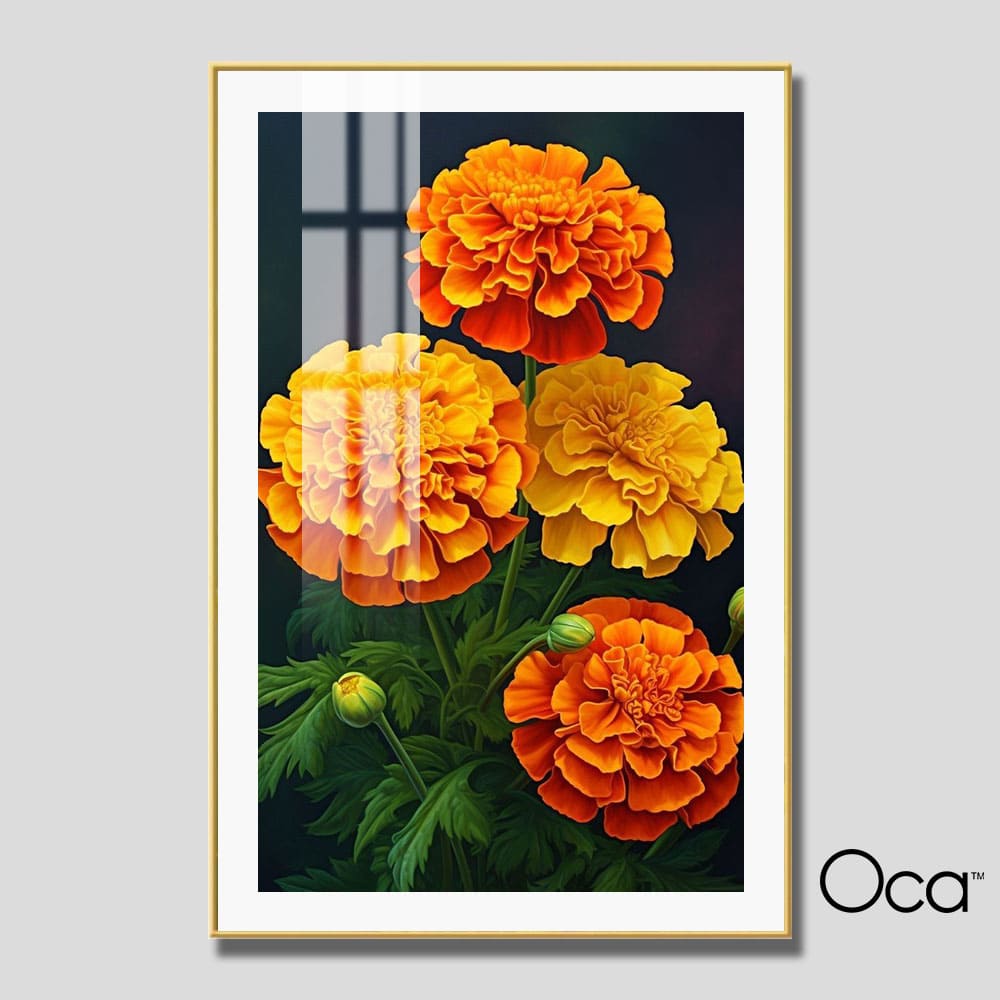 Khóm hoa Cúc Vạn Thọ | Mã T0512 | Oca