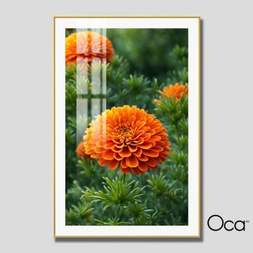 Bông cúc vạn thọ | Mã T0530 | Oca