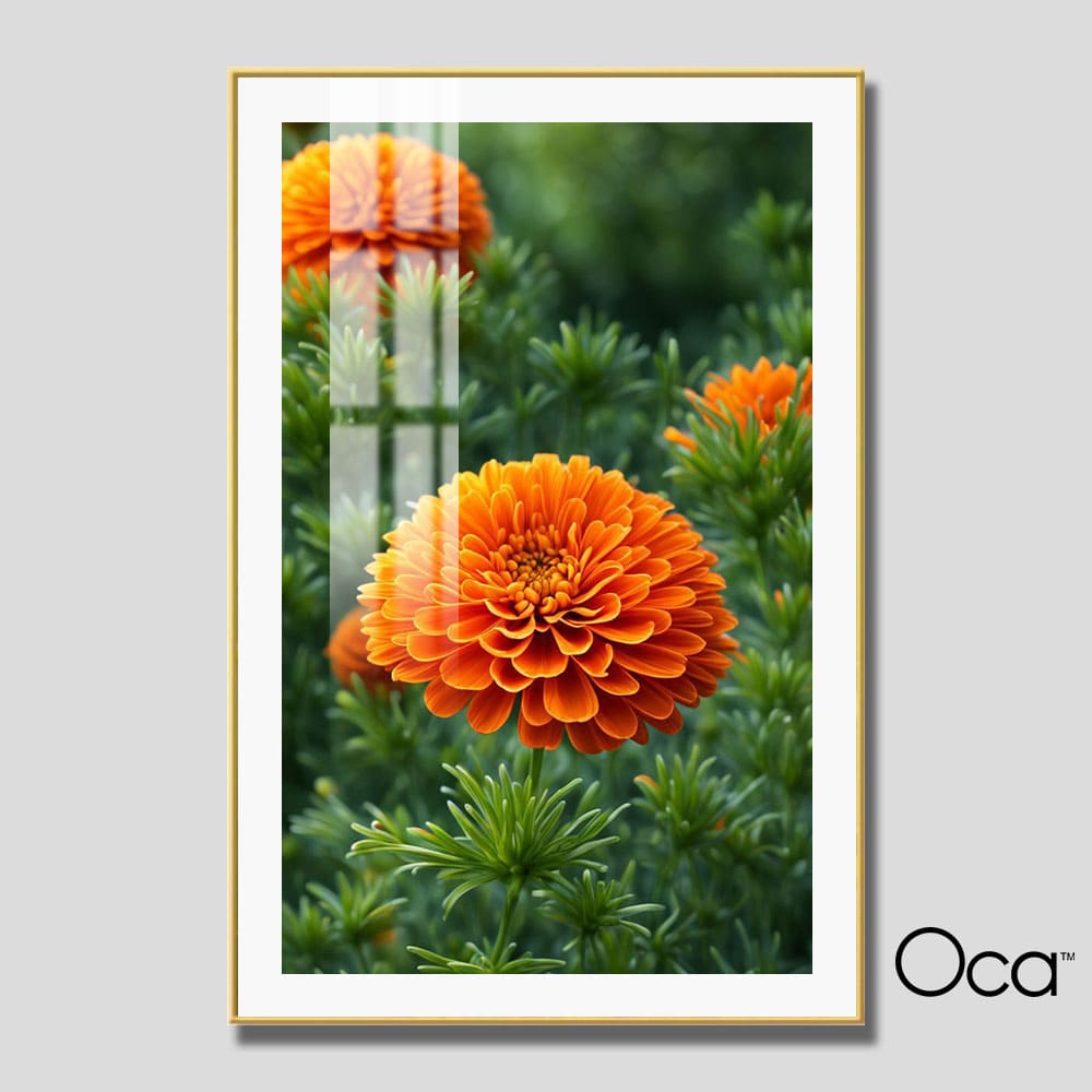 Bông cúc vạn thọ | Mã T0530 | Oca