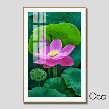 Hoa Sen trong đầm | Mã T0547 | Oca