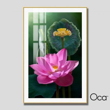 Cánh Sen hồng | Mã T0558 | Oca