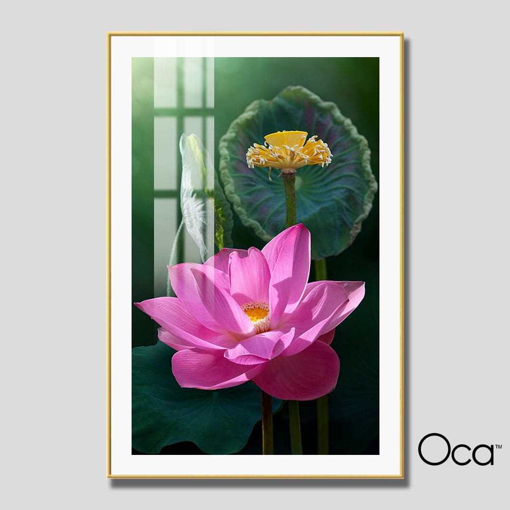 Cánh Sen hồng | Mã T0558 | Oca